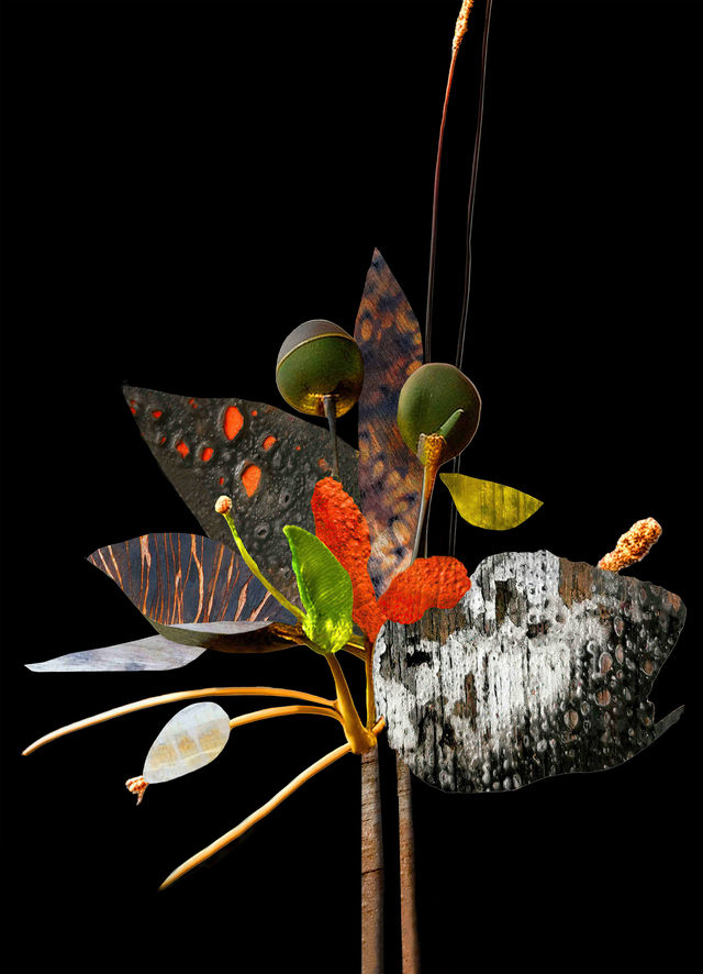 EXHIBITION OPENING: Burnt into Memory | Hawkesbury Regional Gallery