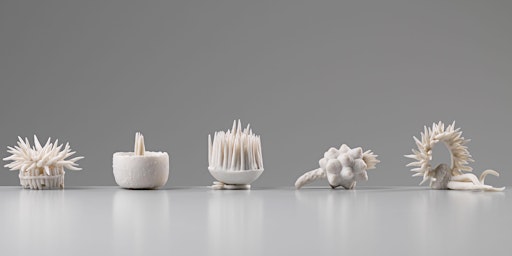 Botanical Porcelain Miniatures with Lorna Fraser | Off The Rails Arthouse
