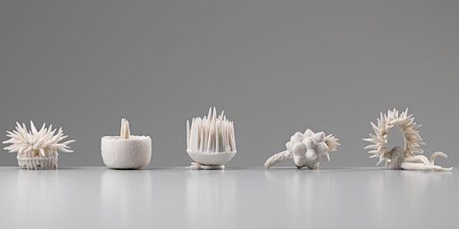 Botanical Porcelain Miniatures with Lorna Fraser | Off The Rails Arthouse
