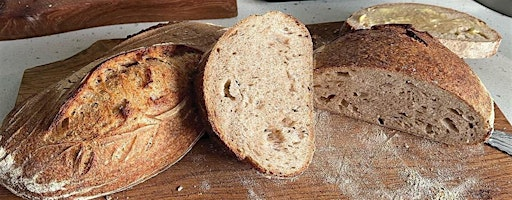 Holgate Windmill and Bluebird Bakery -featuring live music by Steam Pigeon | Bluebird Bakery
