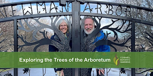 Exploring the Trees of the Arboretum | F.R. Newman Arboretum