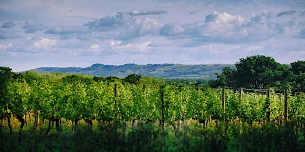 Our Sundays x Ridgeview Wine Estate Evening! | Ridgeview Wine Estate