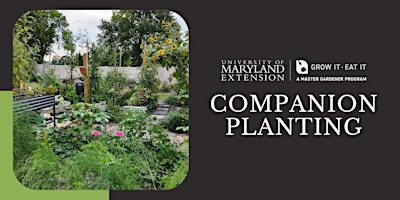CCMG Spring Series Class #3: Companion Planting | Carroll County Extension Office