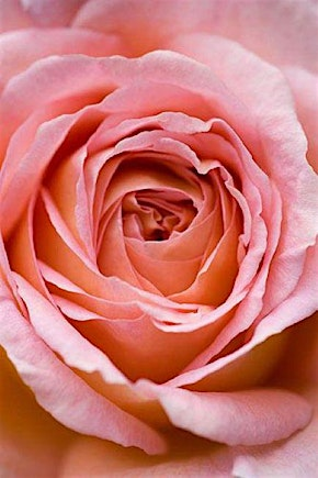 Connecting to Your Inner Goddess | Albion Way