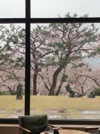 [경주 호텔] 경주 힐튼- 신라코트