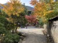 京都[紅葉めぐり]    　ー獅子吼の庭ー　宝厳院にて心を癒す