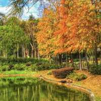 青衣公園