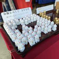 【茨城】宝くじが当たる金運スポット💰酒列磯前神社