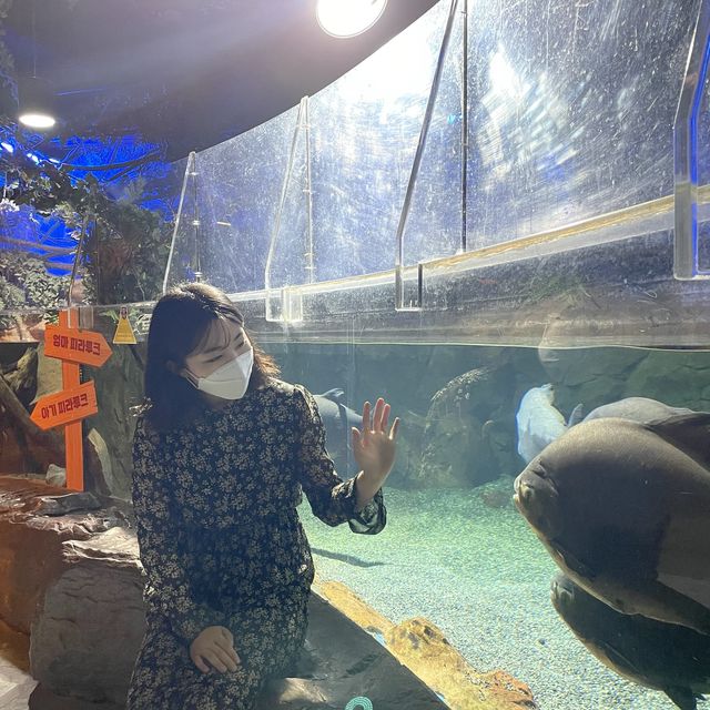 해운대에서 바다친구들과 즐기는 이색데이트