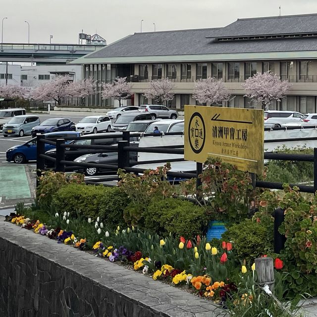 愛知県　清洲城の桜