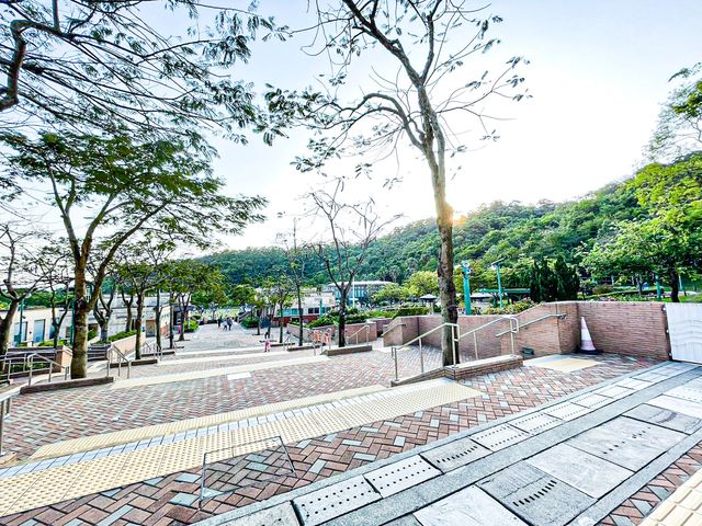 親子天地 佐敦谷