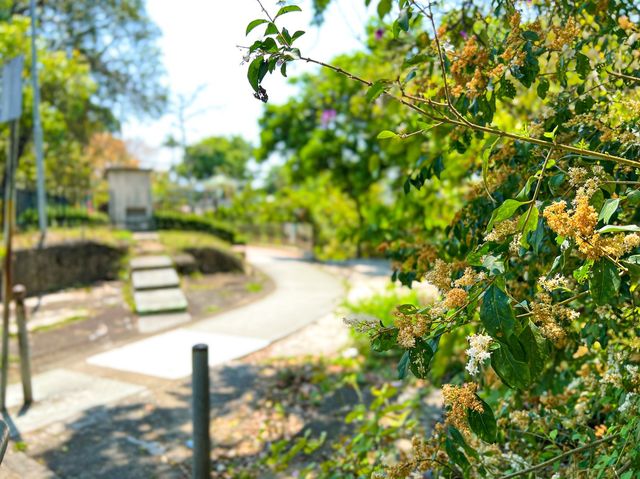 另一高處 落馬洲花園 另一高處 落馬洲花園