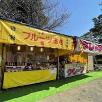 北海道　松前公園のさくらまつり
