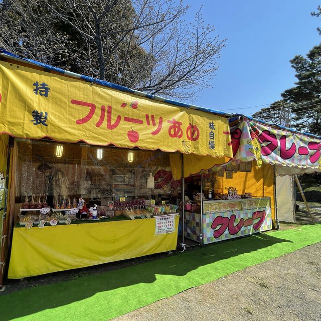 北海道　松前公園のさくらまつり