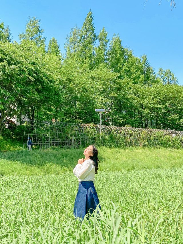 제주감성 가득한 양재천 주말산책💓
