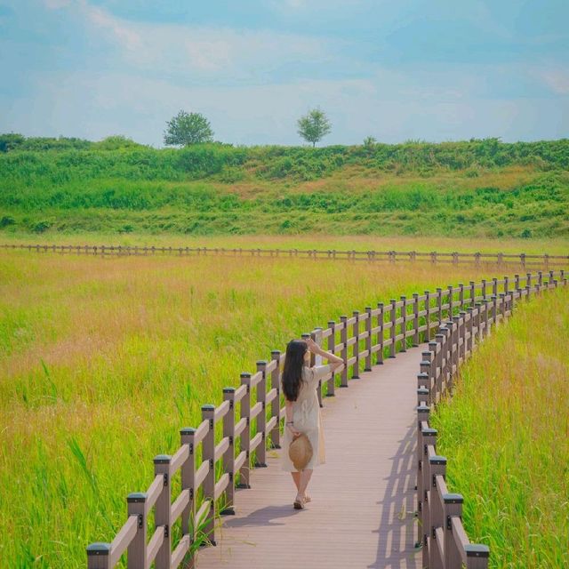 💚대구에서 만난 제주스러운 자연 [대구, 대명유수지]