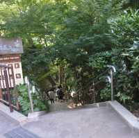 東京の等々力渓谷