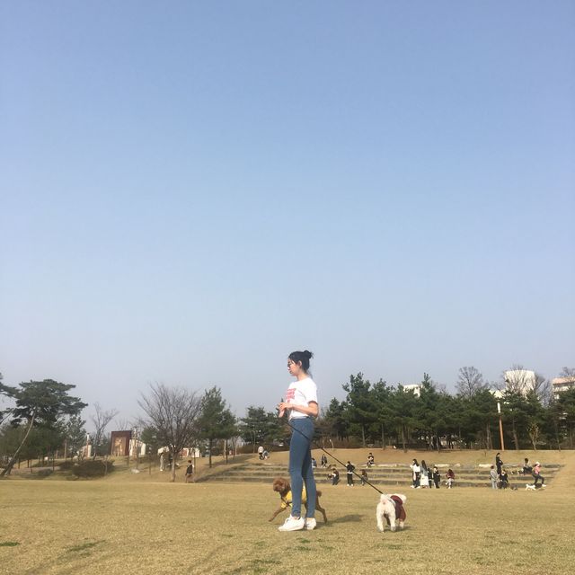천안 쌍용공원, 강아지들아 모여라~~~ 