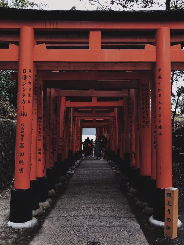 JAPAN | ญี่ปุ่น . 🎌🏯🍣