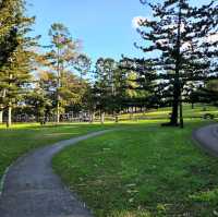 周未行山好去處-mount coot botanic garden 