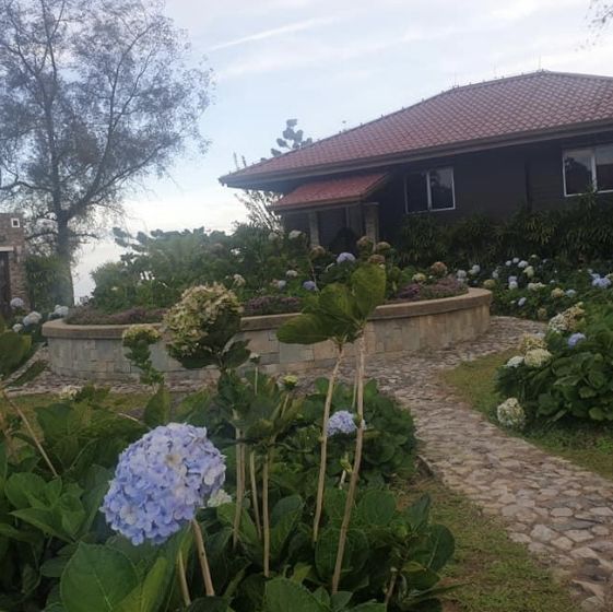The jerai hill resort,Kedah