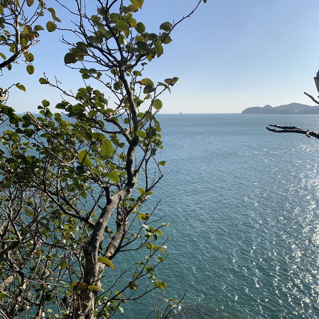 오동오동 떨며 구경했던 오동도🌺