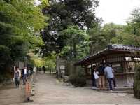 【金沢】日本三名園！兼六園をご紹介