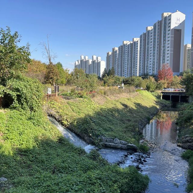 Irwol Lake View in Autumn