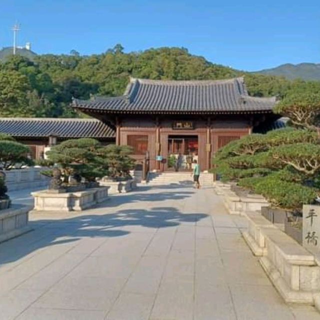 Serenity at Nan Lian Garden!