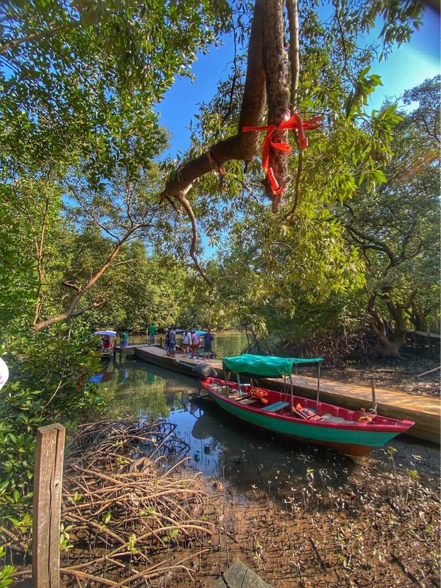 ล่องเรือชมวิว 🚣
