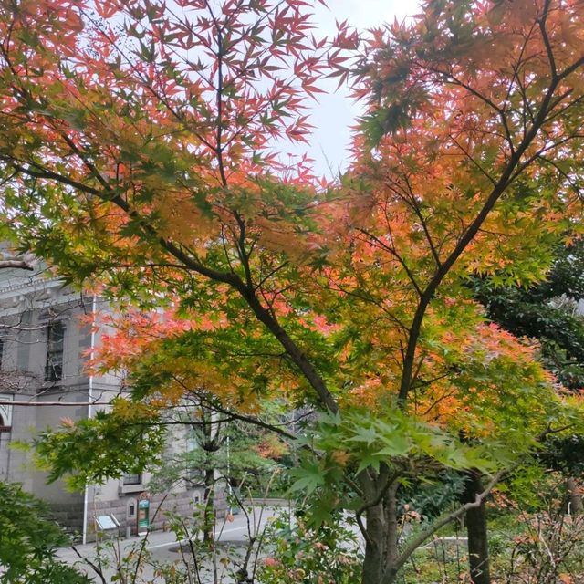 東京 新橋 "紅葉の旧新橋停車場駅舎"         ヨーロッパ!?、新橋です!! 緑・黄・オレンジ・赤、カラフル!!