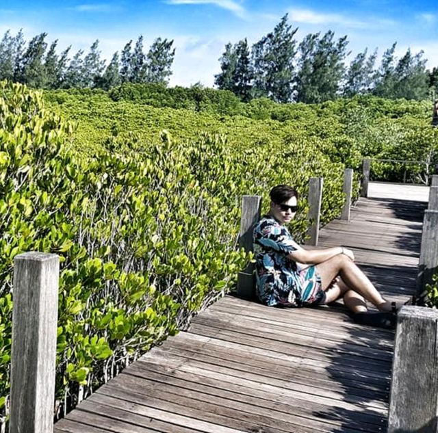 ทุ่งโปรงทอง ระยอง