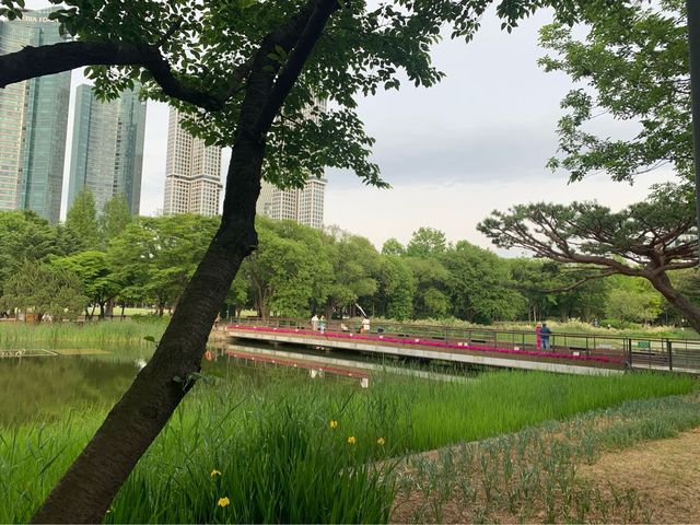 성수동, 봄의 서울숲!!