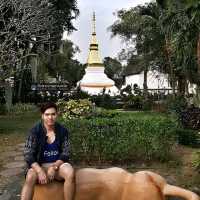 วัดพระธาตุขามแก่น (วัดเจติยภูมิ)