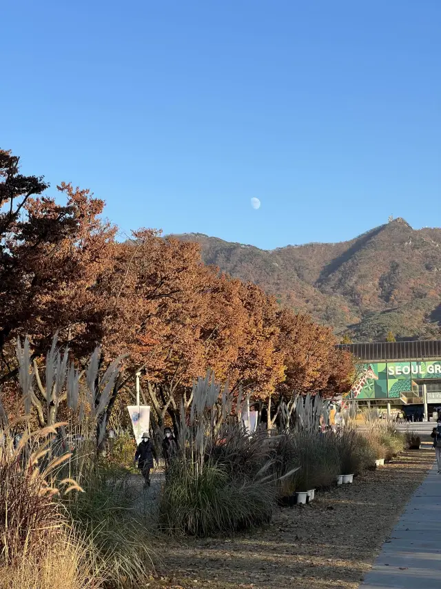 서울대공원 산책!