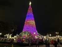 Christmas Attraction #11: The Biggest Outdoor Christmas Tree