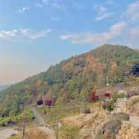 하동 풍경을 한눈에 볼 수 있는 스카이워크 전망대🏞️