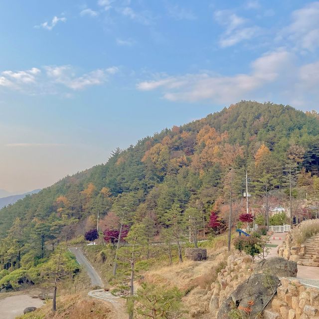 하동 풍경을 한눈에 볼 수 있는 스카이워크 전망대🏞️