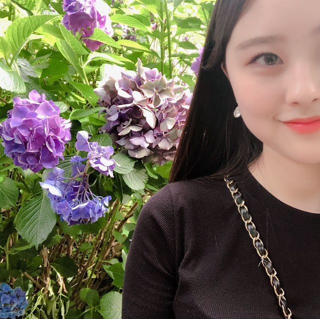 [수국과 함께하는 식물원 카멜리아힐]