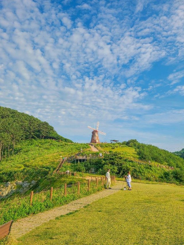 진짜 바람이 엄청 부는 바람의 언덕