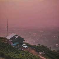 Bukit Alesano