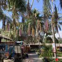 Countryside Lifestyle at Kg Agong