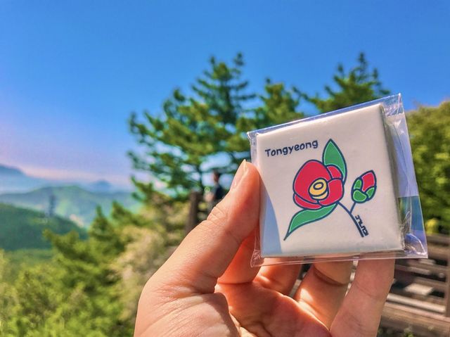 통영 여행엔 꼭 ! 색감맛집 동피랑 벽화마을🌸