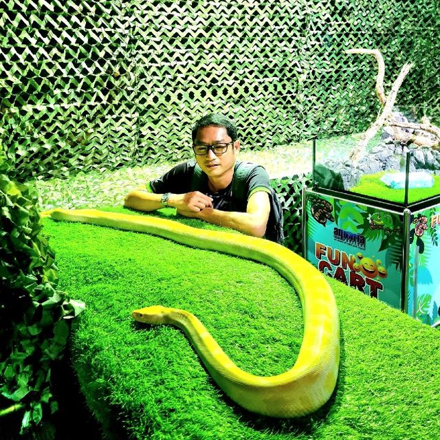 พิพิธภัณฑ์สัตว์น้ำที่ใหญ่ที่สุดในไทย