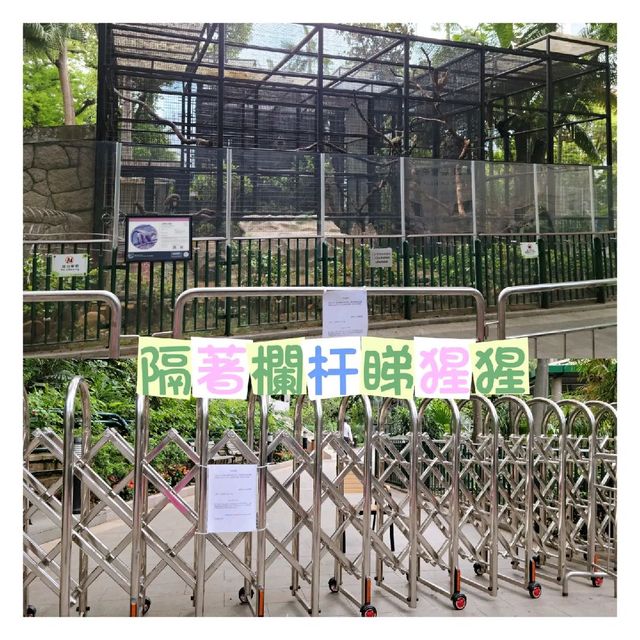 親親大自然