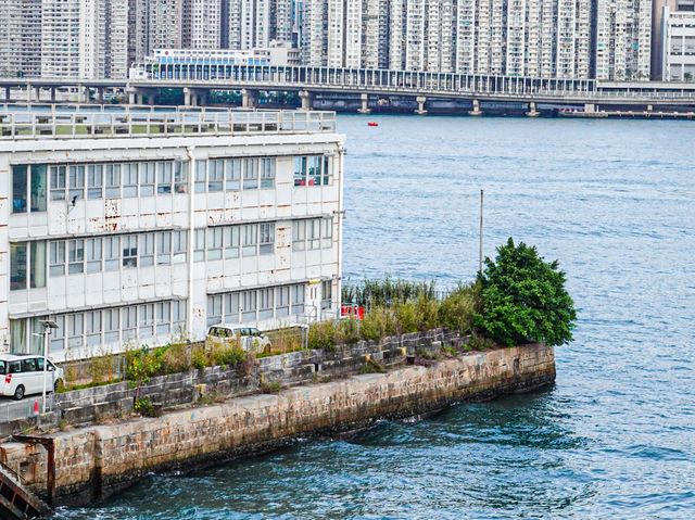 最佳景色