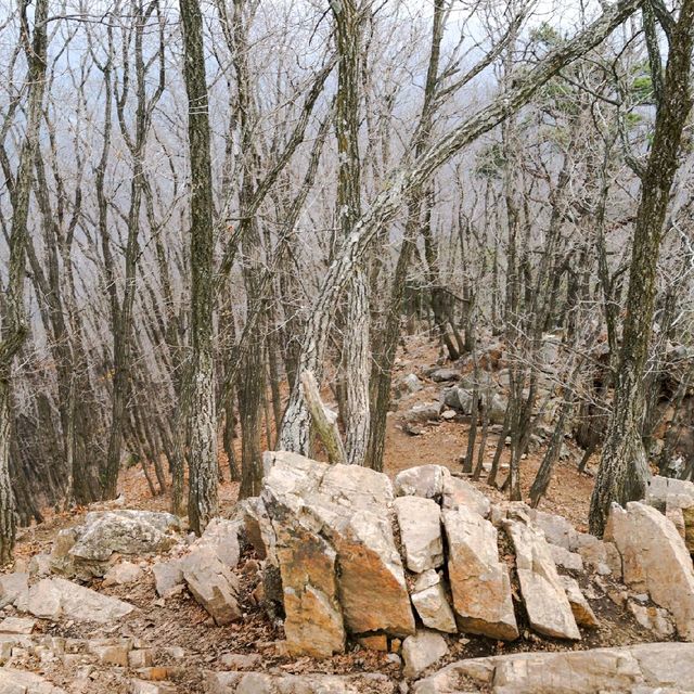 춘천 삼악산 등산