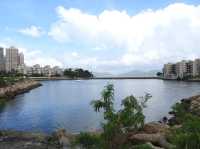 黃金海岸酒店無敵海景