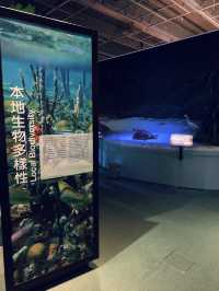 遊玩及學習的好地方 • 香港科學館