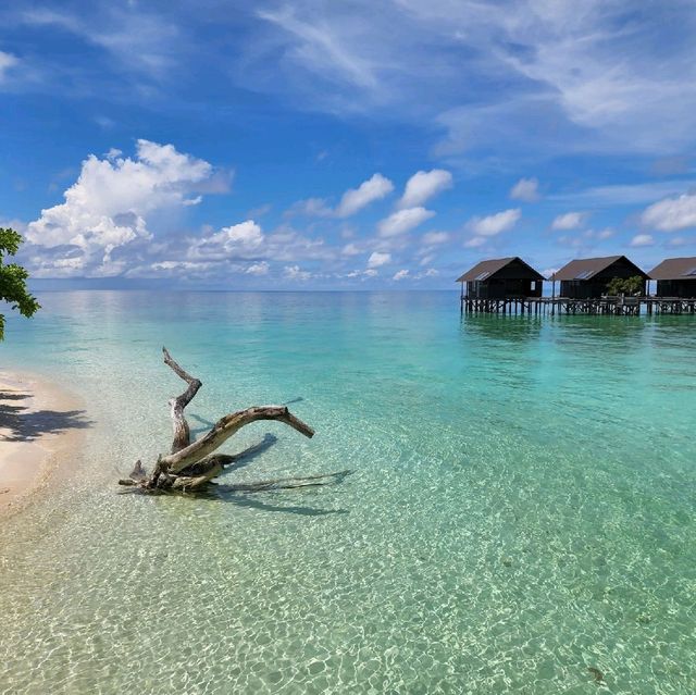 Lankayan Dive Island Resort 